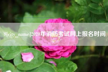 龙岩2020年消防考试网上报名时间