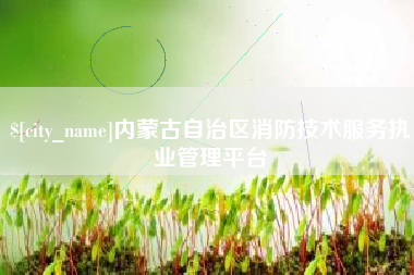 龙岩内蒙古自治区消防技术服务执业管理平台