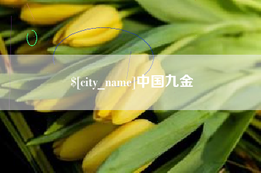 龙岩中国九金
