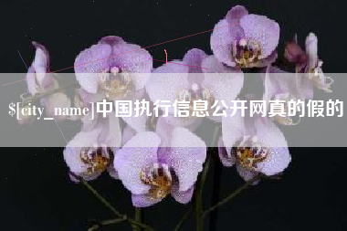 龙岩中国执行信息公开网真的假的