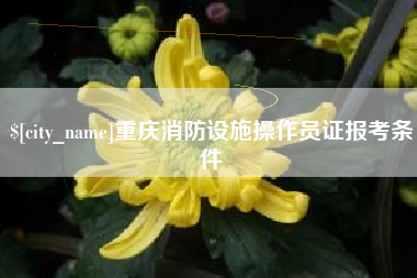 龙岩重庆消防设施操作员证报考条件