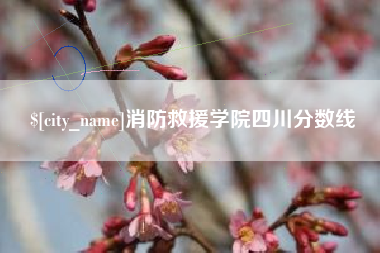 龙岩消防救援学院四川分数线