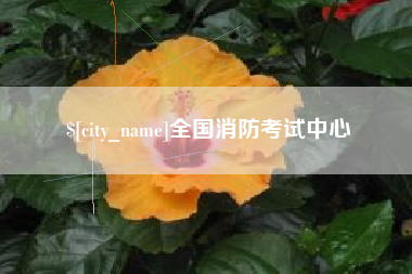 龙岩全国消防考试中心