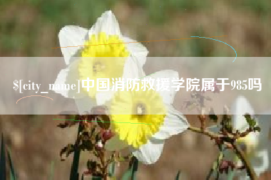 龙岩中国消防救援学院属于985吗