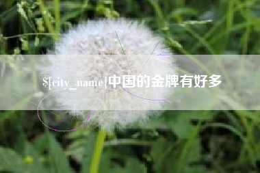 龙岩中国的金牌有好多