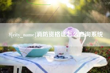 龙岩消防资格证怎么查询系统