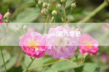 龙岩第九金是