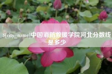 龙岩中国消防救援学院河北分数线是多少