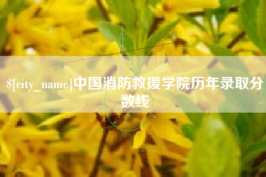 龙岩中国消防救援学院历年录取分数线