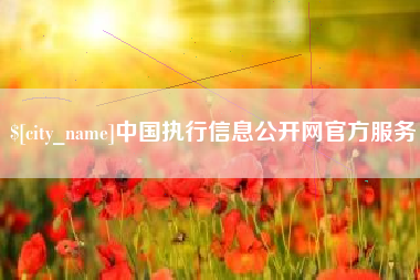 龙岩中国执行信息公开网官方服务