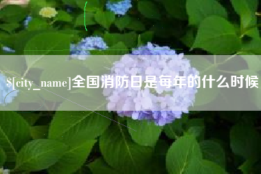 龙岩全国消防日是每年的什么时候