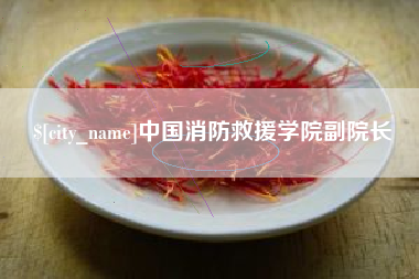 龙岩中国消防救援学院副院长