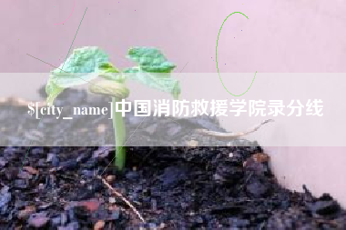 龙岩中国消防救援学院录分线