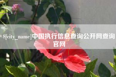 龙岩中国执行信息查询公开网查询官网