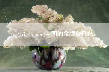 龙岩中国的金牌有几名