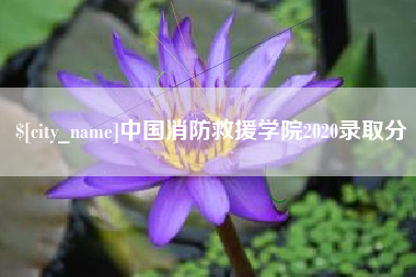 龙岩中国消防救援学院2020录取分