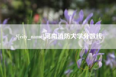 龙岩河南消防大学分数线