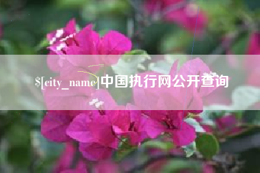 龙岩中国执行网公开查询