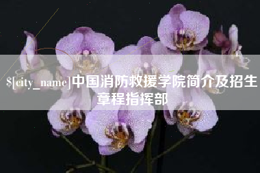龙岩中国消防救援学院简介及招生章程指挥部