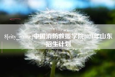 龙岩中国消防救援学院2021年山东招生计划
