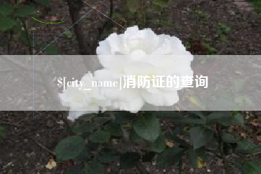 龙岩消防证的查询