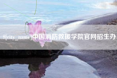 龙岩中国消防救援学院官网招生办