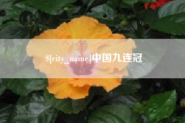 龙岩中国九连冠