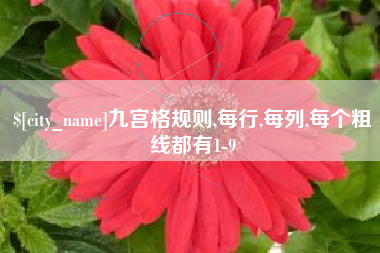 龙岩九宫格规则,每行,每列,每个粗线都有1-9