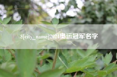 龙岩2024奥运冠军名字