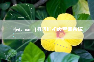 龙岩消防证初级查询系统