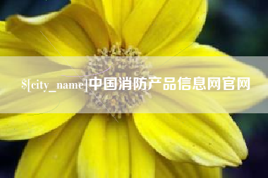 龙岩中国消防产品信息网官网