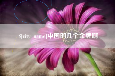 龙岩中国的几个金牌啊