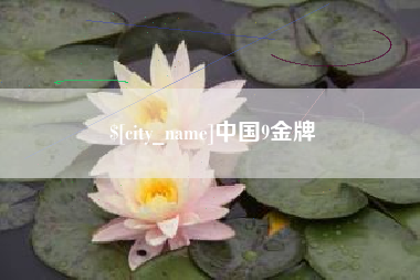 龙岩中国9金牌