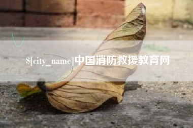 龙岩中国消防救援教育网