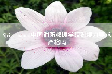 龙岩中国消防救援学院对视力要求严格吗
