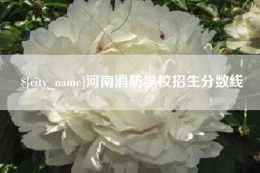龙岩河南消防学校招生分数线
