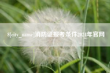 龙岩消防证报考条件2024年官网
