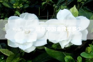 龙岩现在中国金牌是多少