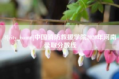 龙岩中国消防救援学院2020年河南录取分数线