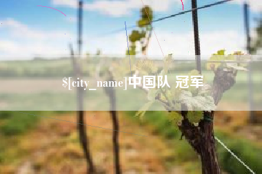龙岩中国队 冠军