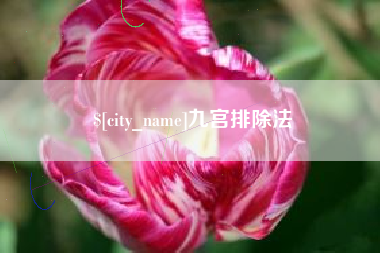 龙岩九宫排除法
