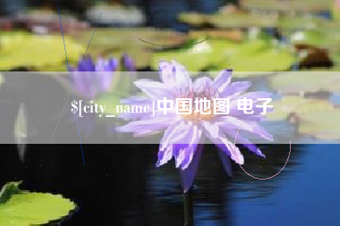 龙岩中国地图 电子