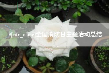 龙岩全国消防日主题活动总结