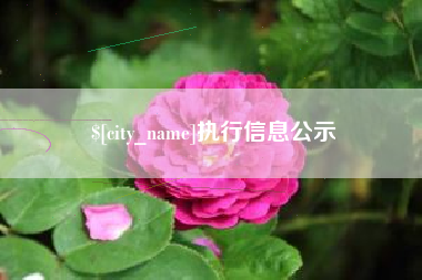 龙岩执行信息公示