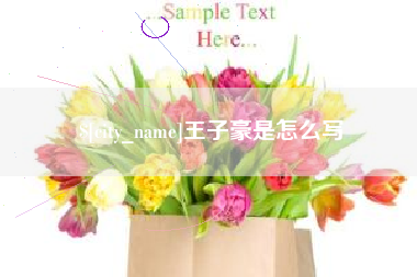 龙岩王子豪是怎么写