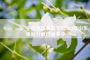 龙岩中国消防救援学院2021年山东录取分数线是多少
