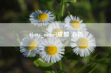 龙岩成都 消防
