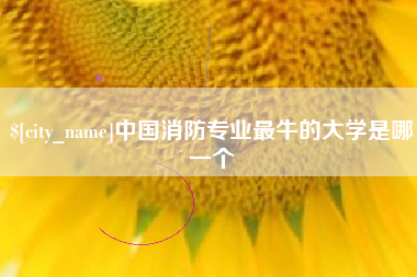 龙岩中国消防专业最牛的大学是哪一个