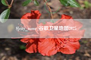 龙岩谷歌卫星地图2025