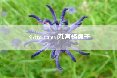 龙岩九宫格盘子